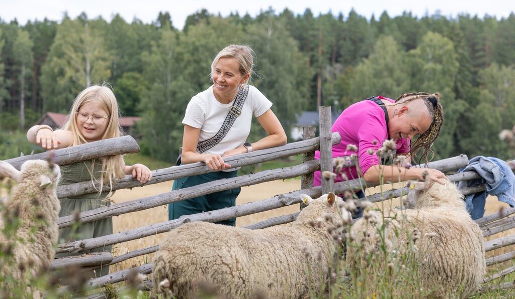 Tämä on vain elämää Ilorannassa